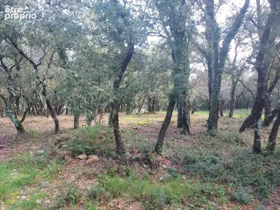 Terrain 967 m² à vendre à Sainte-Anastasie-Sur-Issole (83136) - photo 4
