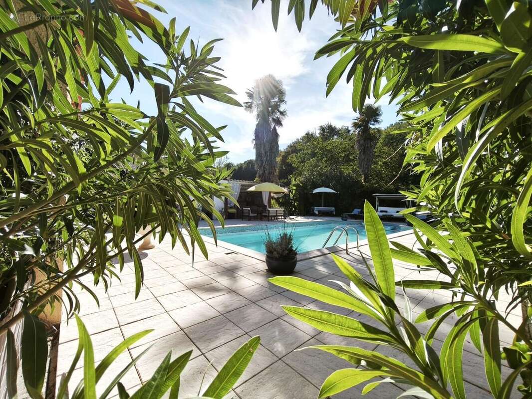 Photo 5 - Maison à PAMIERS