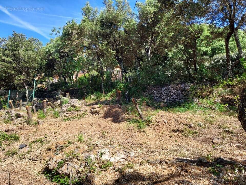 Terrain 950 m² à Sainte-Anastasie-Sur-Issole  - photo 3