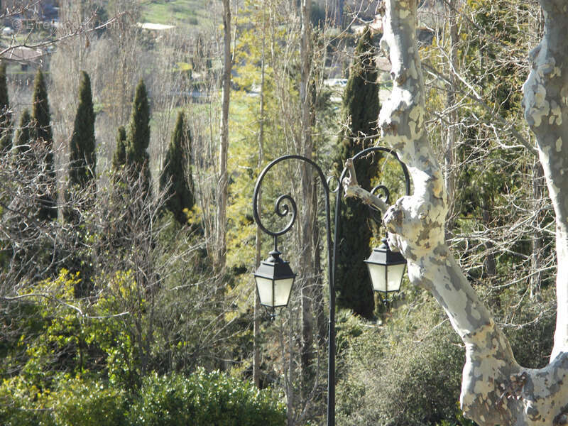 Commerce à MOUSTIERS-SAINTE-MARIE