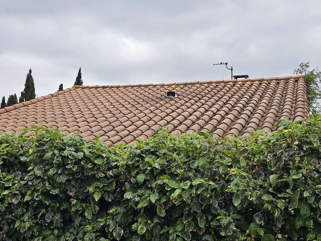 Maison à MOUX