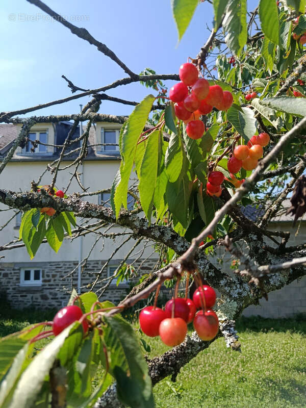 Maison à SAINT-GEORGES-DES-GROSEILLERS