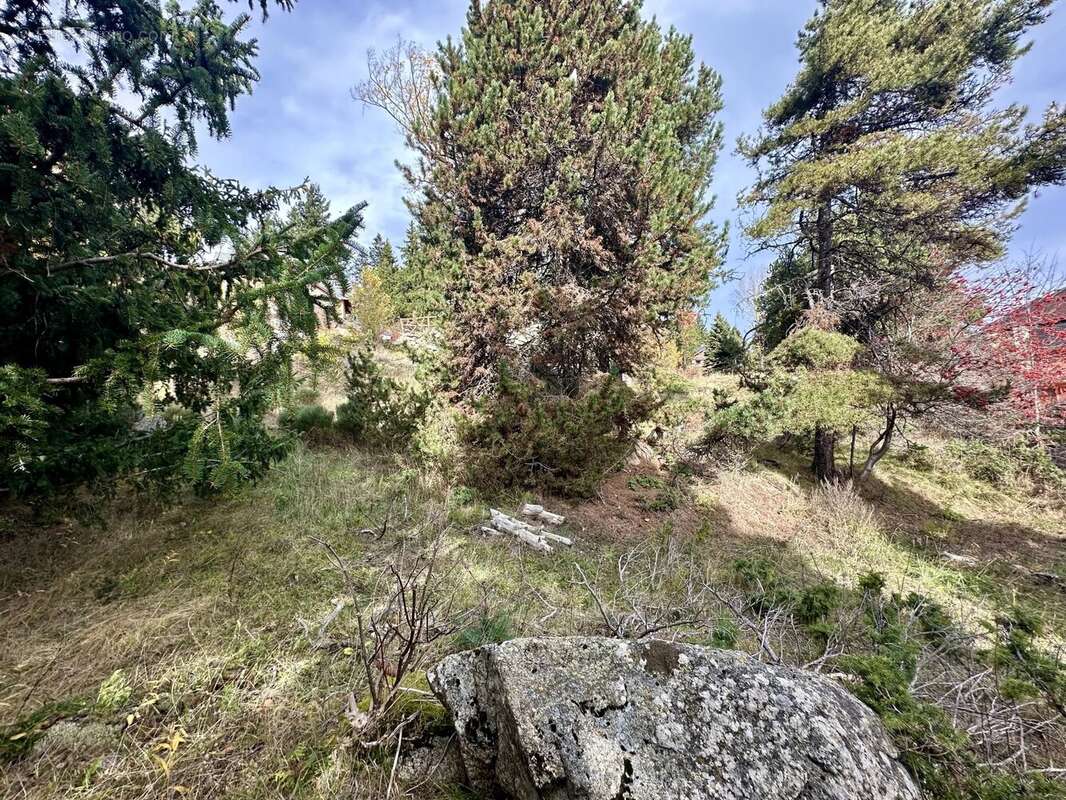 Terrain à FONT-ROMEU-ODEILLO-VIA