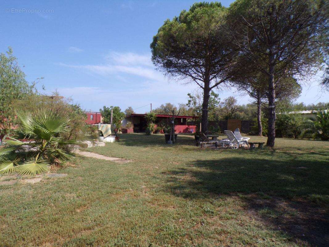 Terrain à Portiragnes  - photo 2