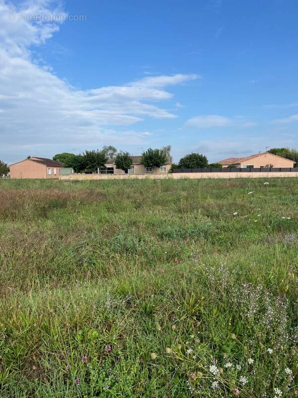 Terrain à GAILLAC