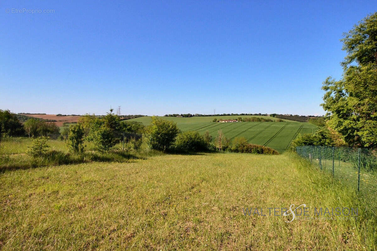 Terrain à SAINT-LEON