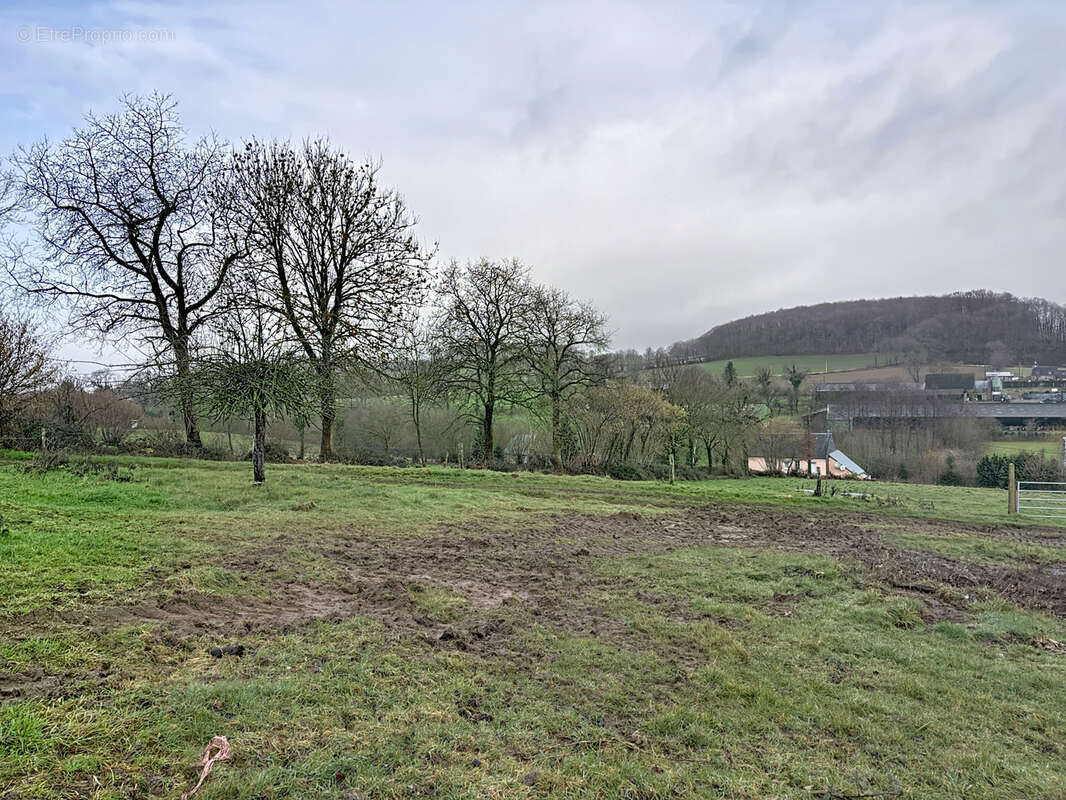 Maison à JUVIGNY-LE-TERTRE