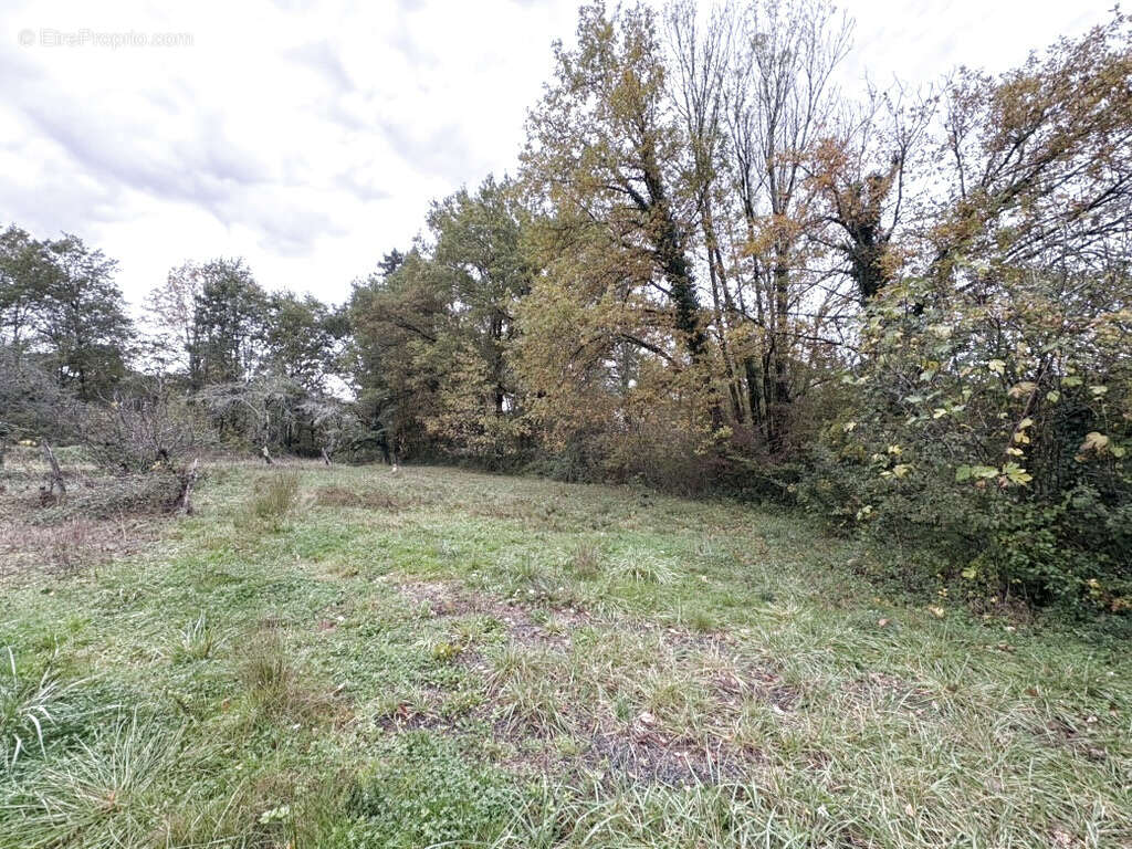 Maison à SAINT-SOLVE