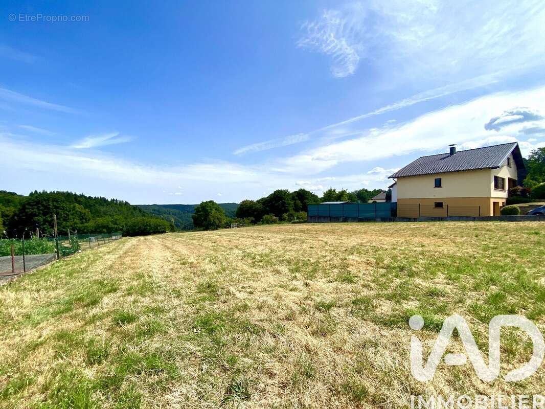 Photo 7 - Terrain à HOMMERT