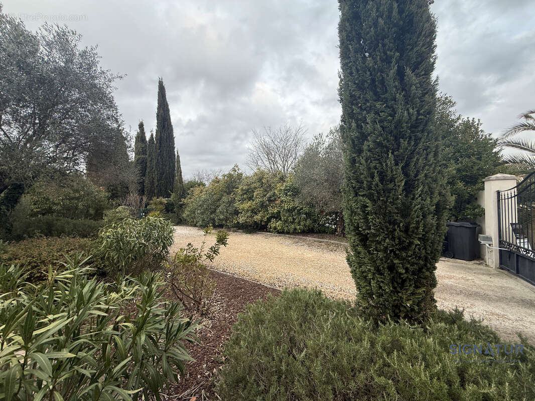 Terrain à CASTELNAU-LE-LEZ