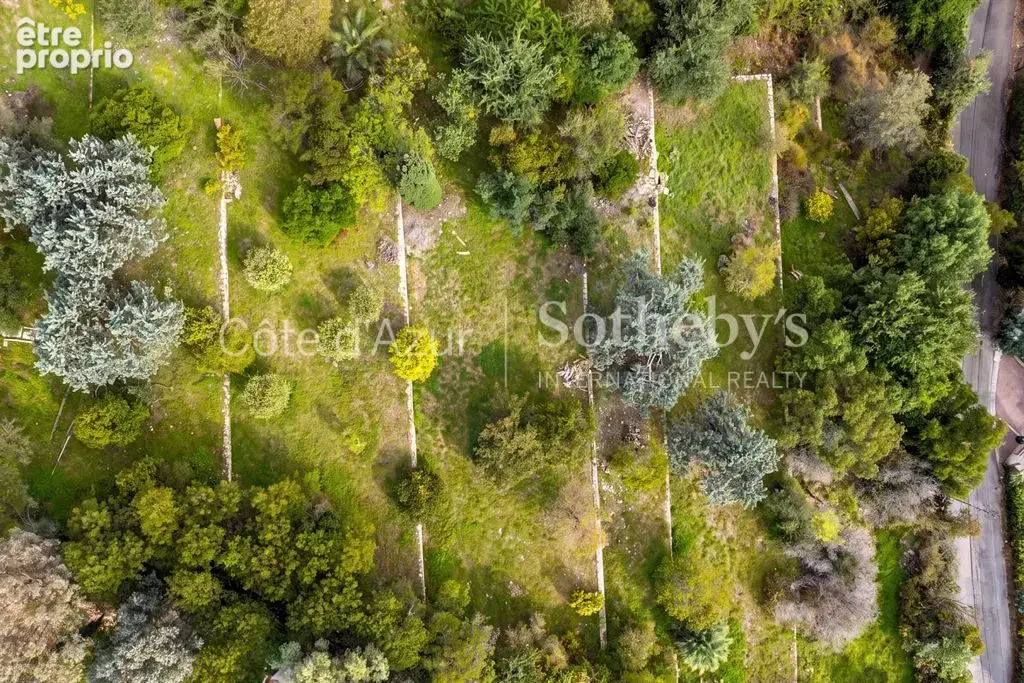 Super Cannes, terrain de 6 071 m² avec permis purgé pour deux villas vue mer - photo 9