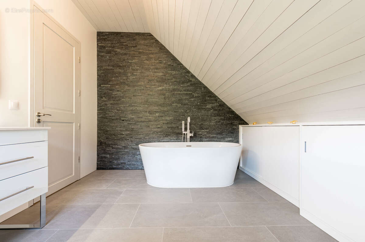 Maison à MENTHONNEX-EN-BORNES