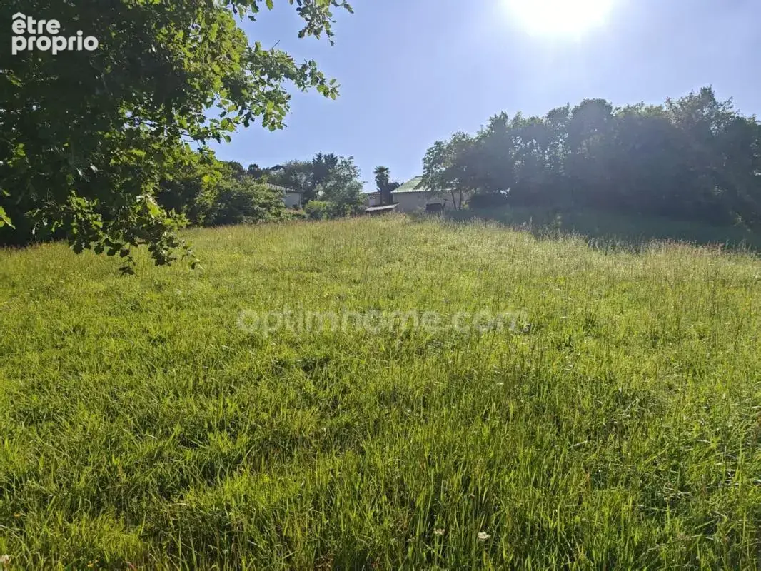 BAISSE DE PRIX !! Terrain constructible de 1 650m² situé à EAUZE (32) - photo 7