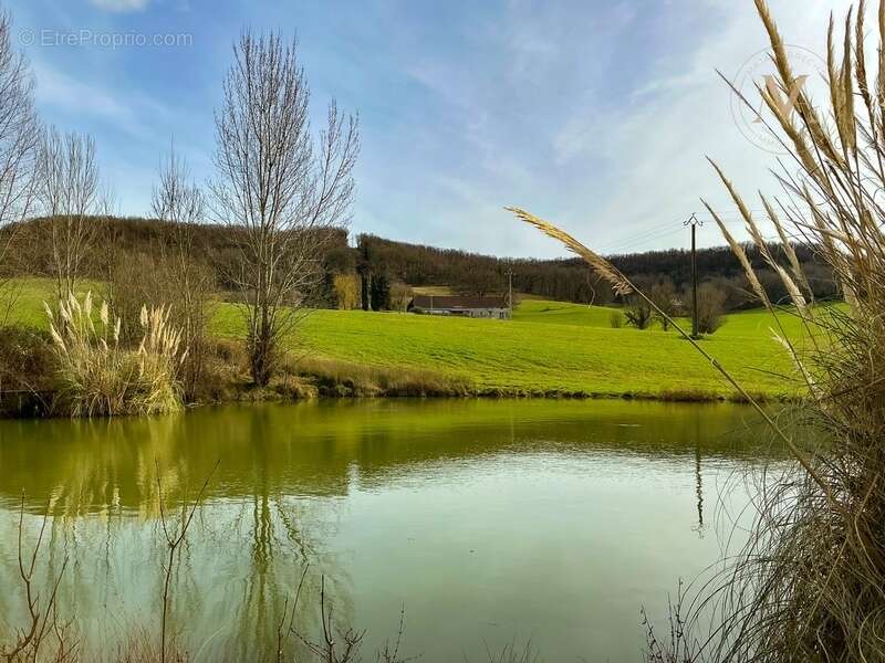 Domaine équestre d’exception sur 40 hectares — Authenticité, nature et passion proche de Penne d’Agenais (47) - photo 4