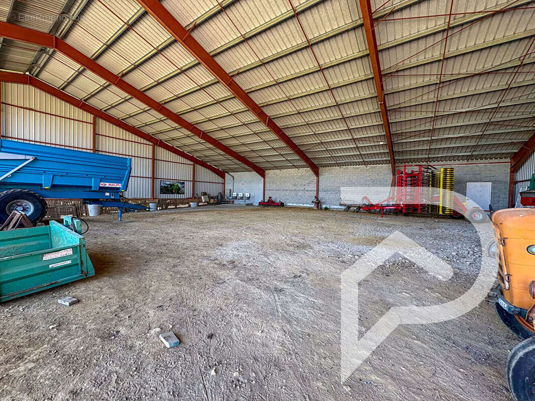 Maison à MONTESTRUC-SUR-GERS