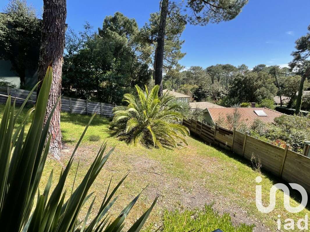 Photo 3 - Maison à SEIGNOSSE