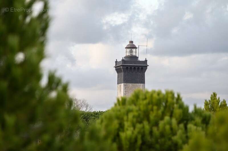 Commerce à LE GRAU-DU-ROI