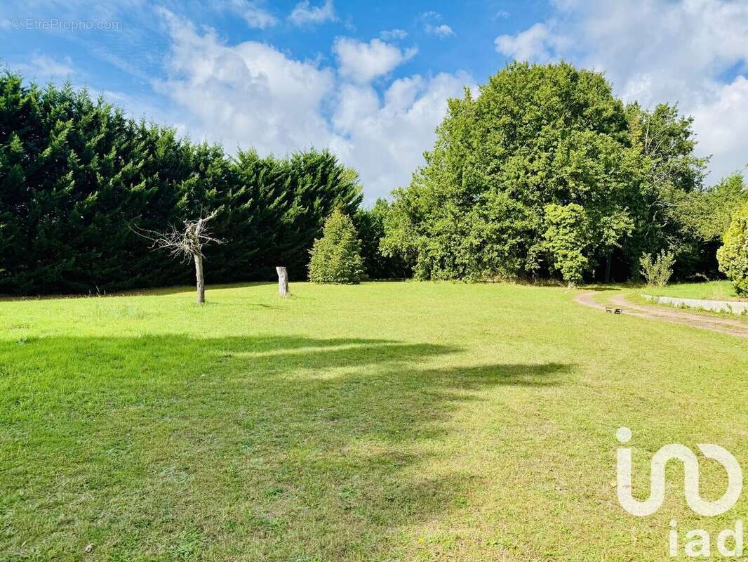 Photo 7 - Maison à OLIVET