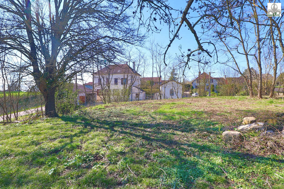 Terrain à AUVILLARS-SUR-SAONE