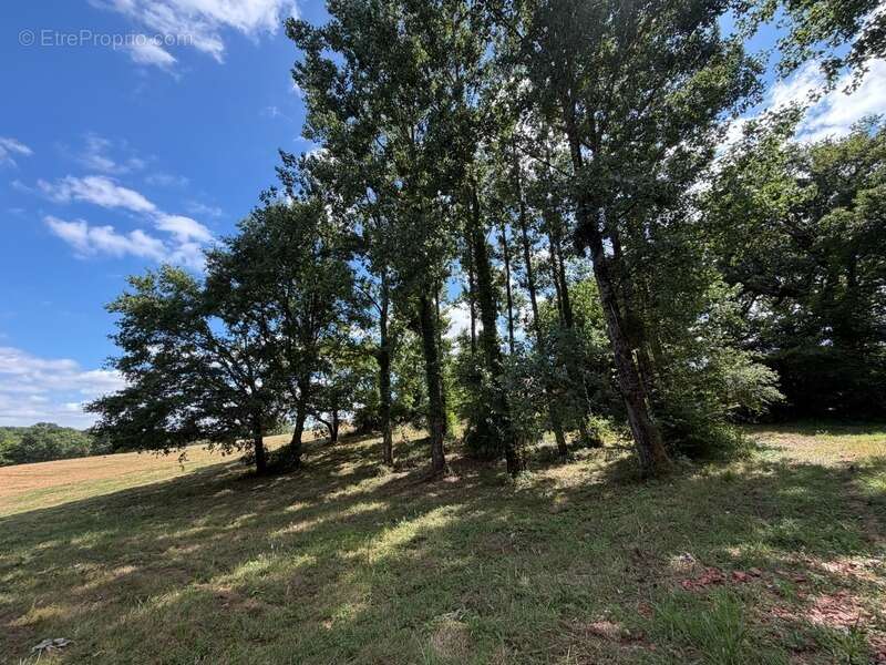 Domaine plein de charme de 250M2 avec dépendances, gîtes dans un écrin de verdure Proche de MONT DE MARSAN au HOUGA - photo 17