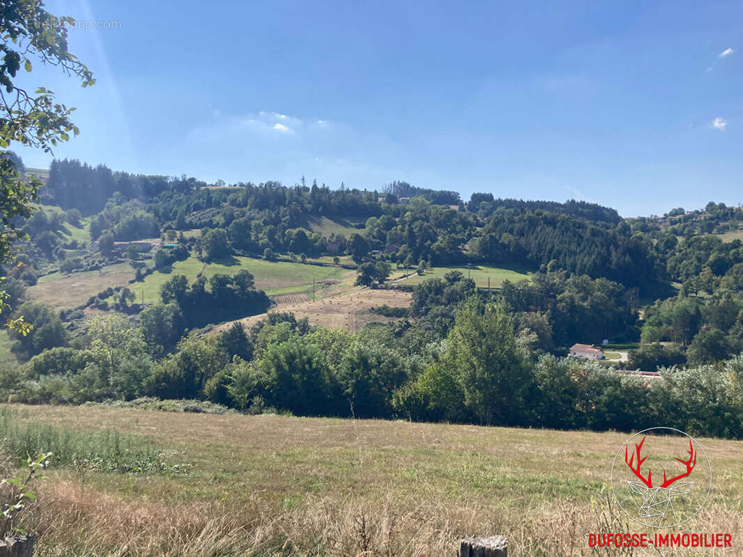 TAB - Beau terrain constructible avec vue dégagée - COURS (69470) - photo 3