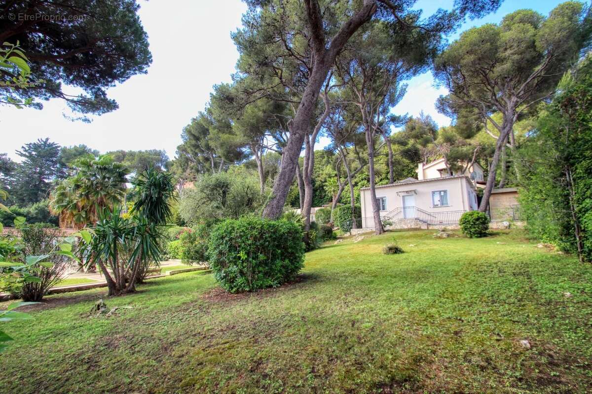 Saint jean cap ferrat "le cap" - propriété 600m²  terrain 5000m² piscine - photo 35