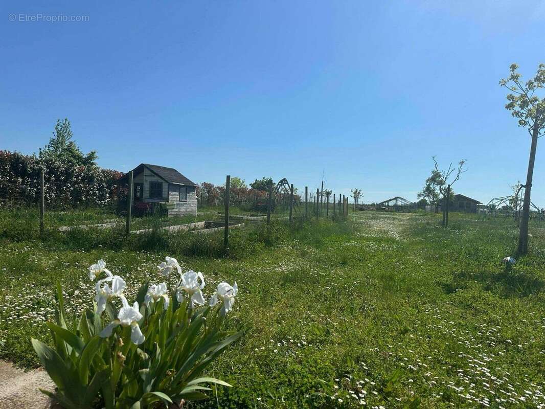 Maison de plain pied 86m² - photo 7