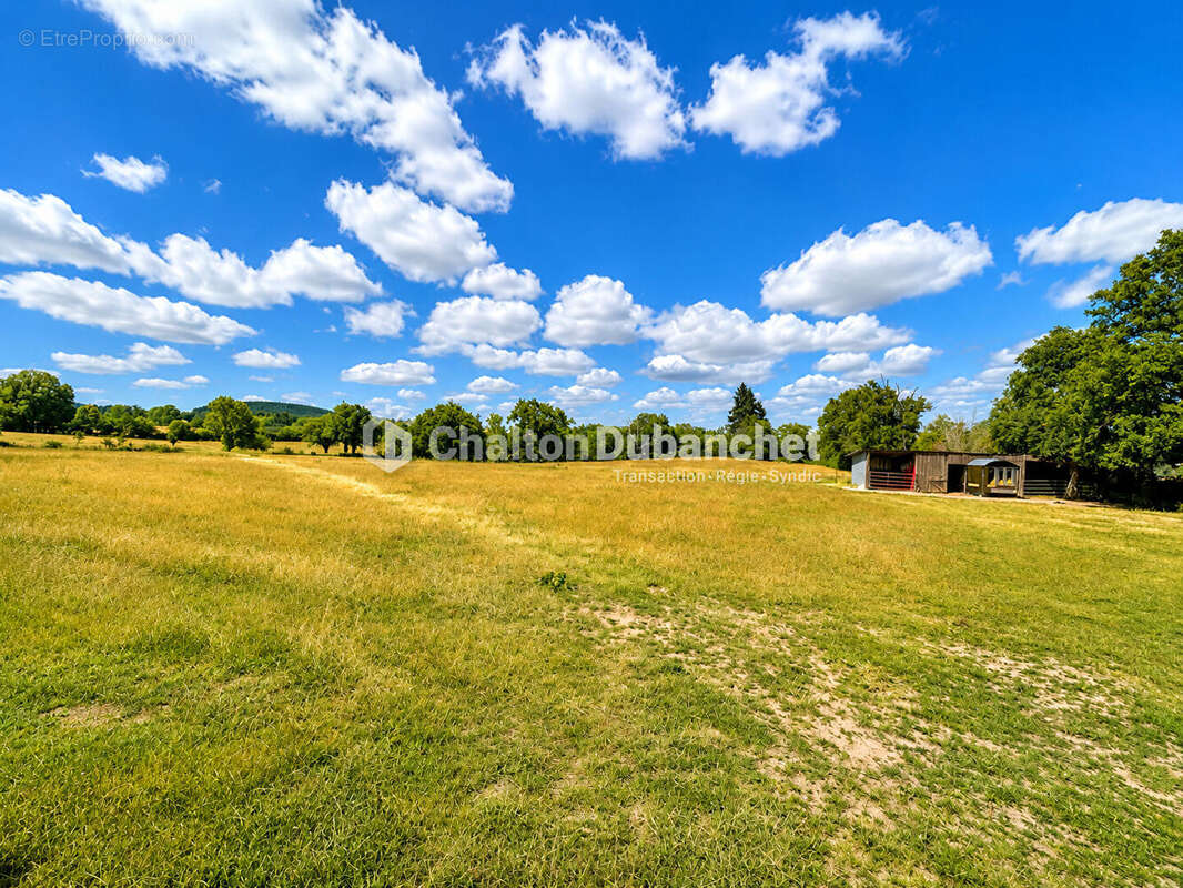 MONTAIGUET EN FOREZ - Maison de 330 m² sur  35000 m² de terrain et deux étangs - photo 7