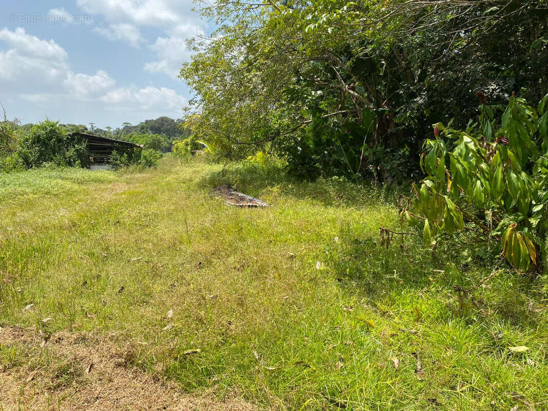 Terrain à MACOURIA