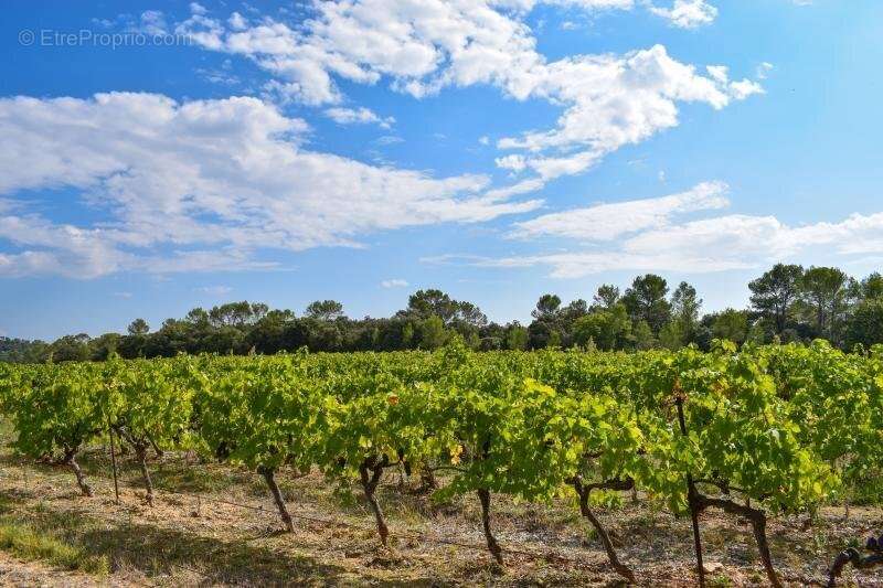 Terrain à VALFLAUNES