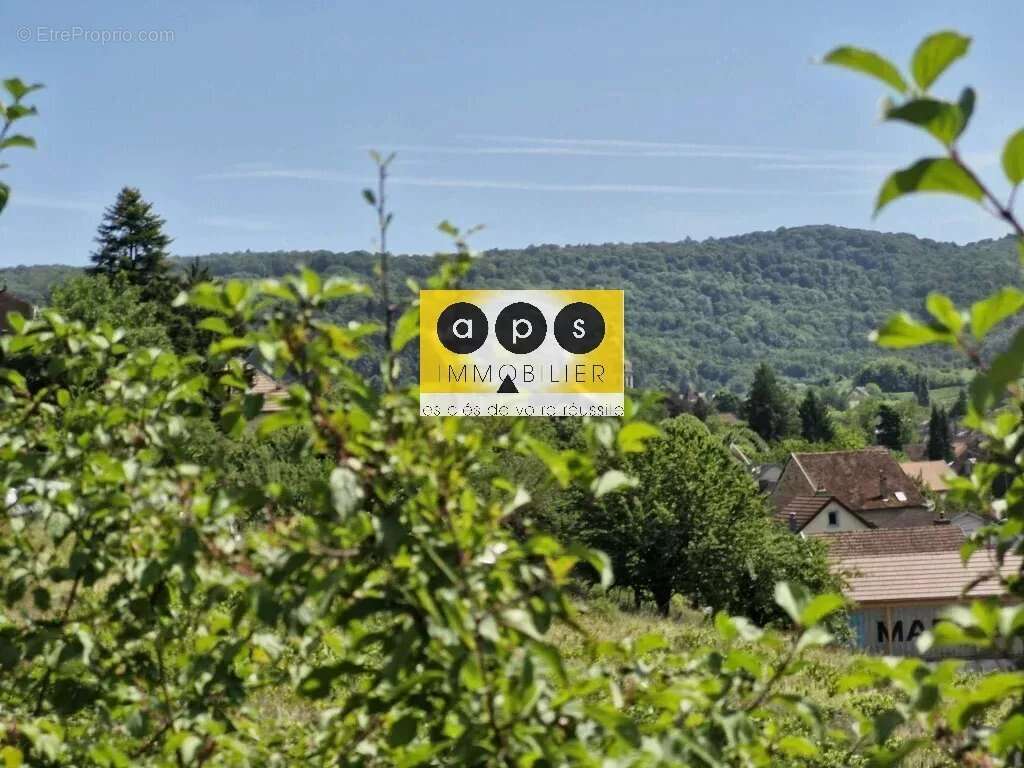 Terrain à ARBOIS
