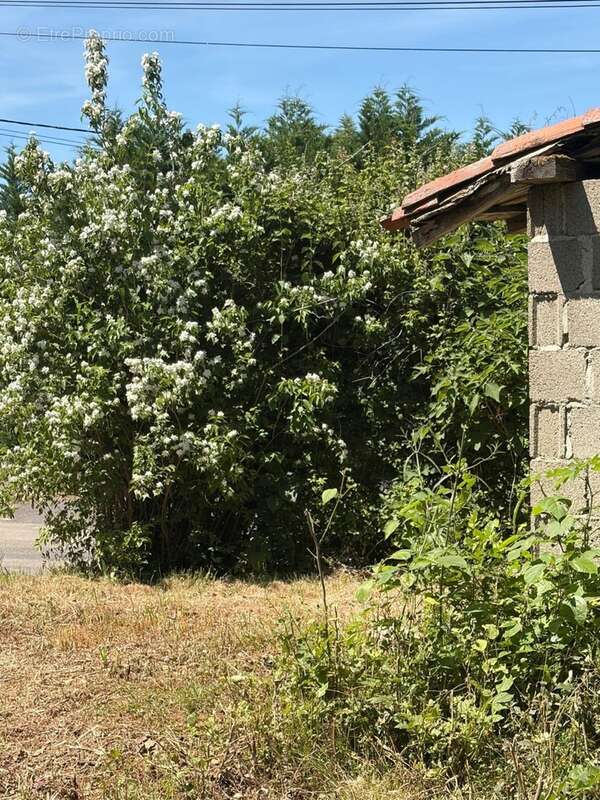 PLAISANCE (32); AUTHENTIQUE MAISON GASCONNE 300M2 dans son jus, un peu cachée, 1HA grandes dependances - photo 18