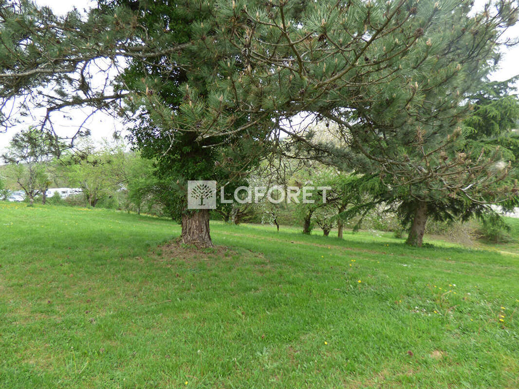 Terrain à NANC-LES-SAINT-AMOUR