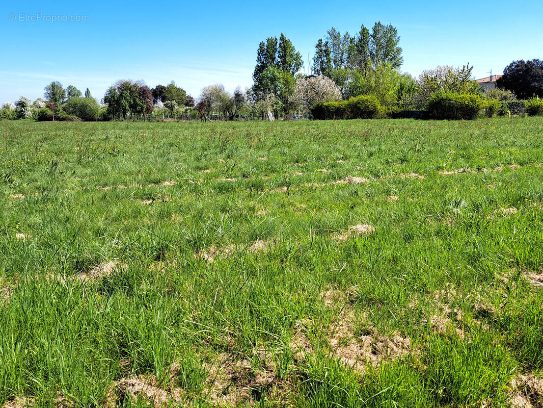 Terrain à GARDONNE