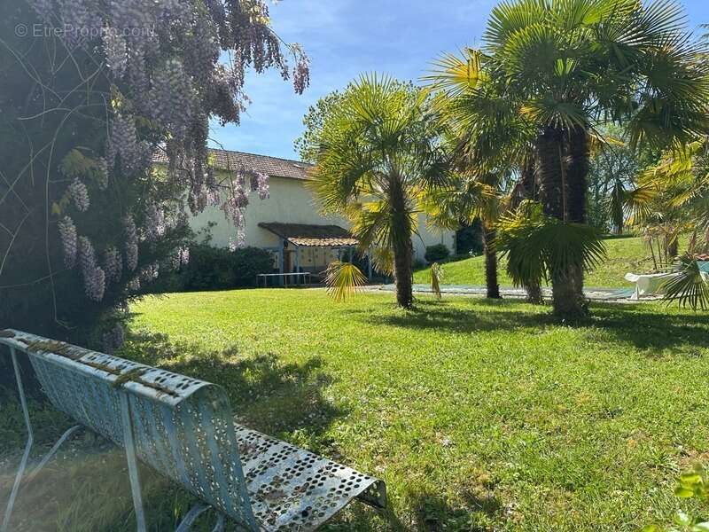 Maison de campagne, isolée, parc arboré, piscine - photo 26