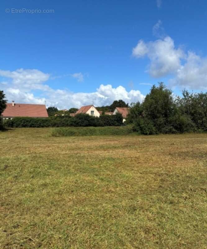 Terrain 551 m² à Joue-L'abbe  - photo 2