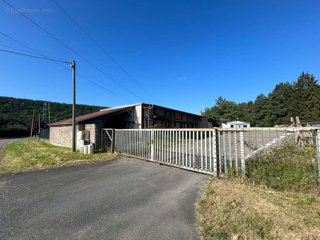 Commerce à LONGEVILLE-LES-SAINT-AVOLD