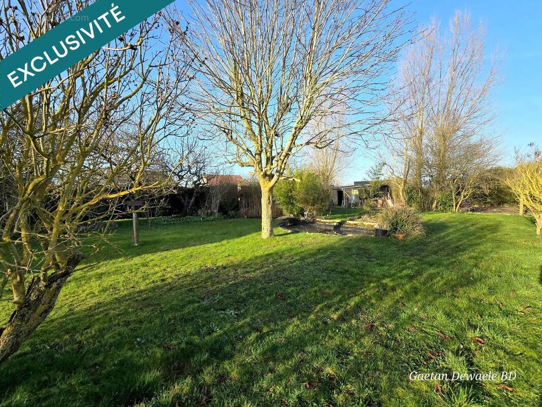Photo 2 - Terrain à LEFFRINCKOUCKE