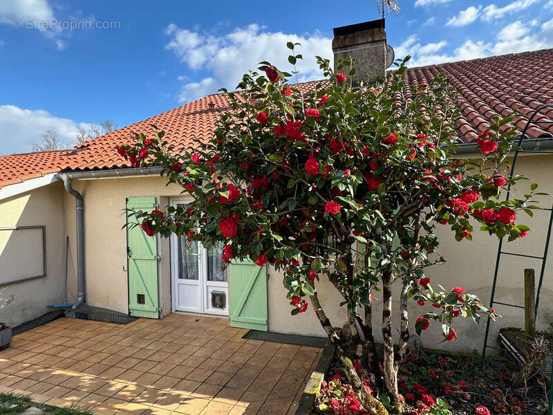 Maison à vendre de 155 m2 de surface habitable à LADEVEZE RIVIERE (32) avec 3330 m2 de jardin - photo 2