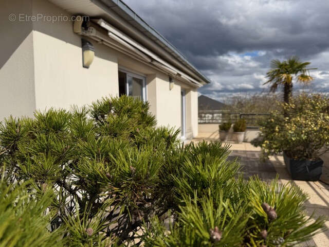 Appartement à ORLEANS