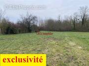 Terrain à MERY-SUR-SEINE