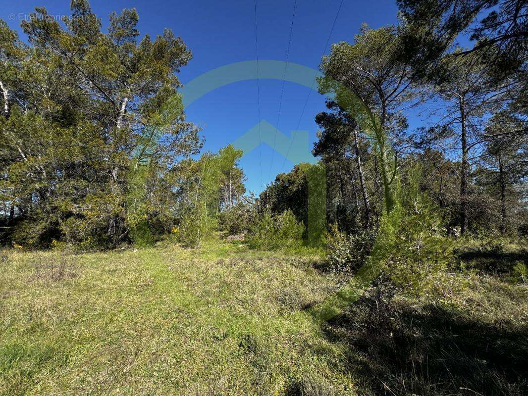 Terrain à SAINT-PAUL-EN-FORET