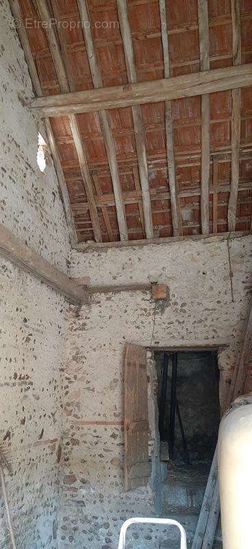 Fermette a rénover avec ses dépendances, sur 2,7 ha de terrain dans cadre bucolique - photo 37