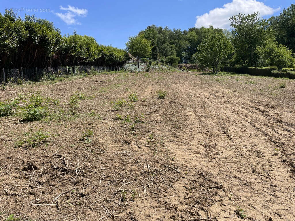 Terrain à SAINT-SORNIN-LAVOLPS