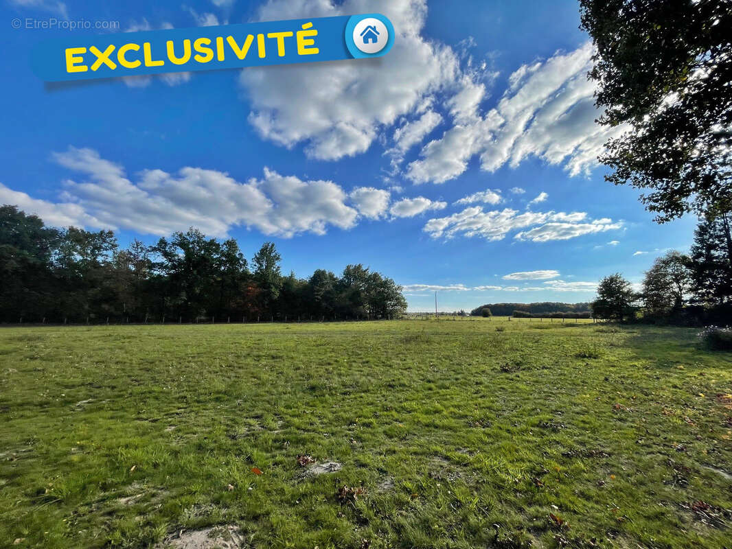 Maison à BOUZY-LA-FORET