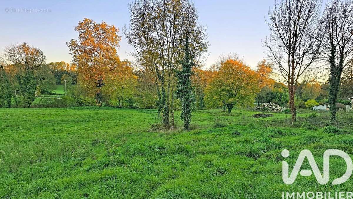 Photo 4 - Terrain à MONTAGNAT