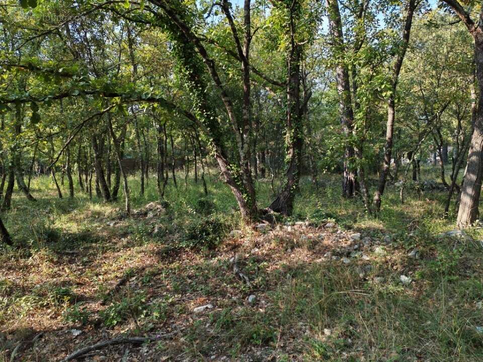 Terrain à TRANS-EN-PROVENCE