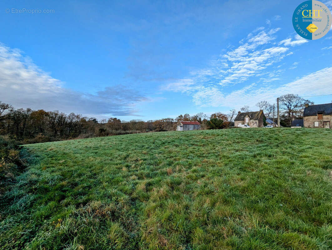 Terrain à MONTENEUF
