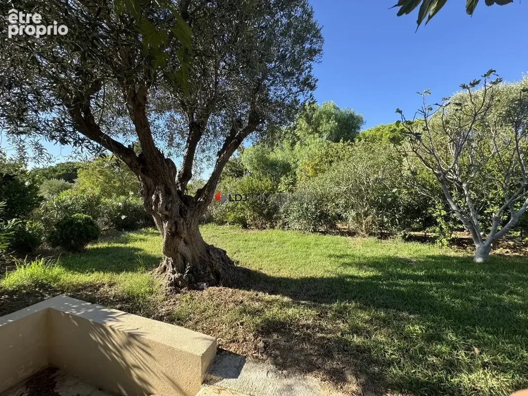 Maison 9 pièces 250 m² à vendre à Cabestany (66330) - photo 2