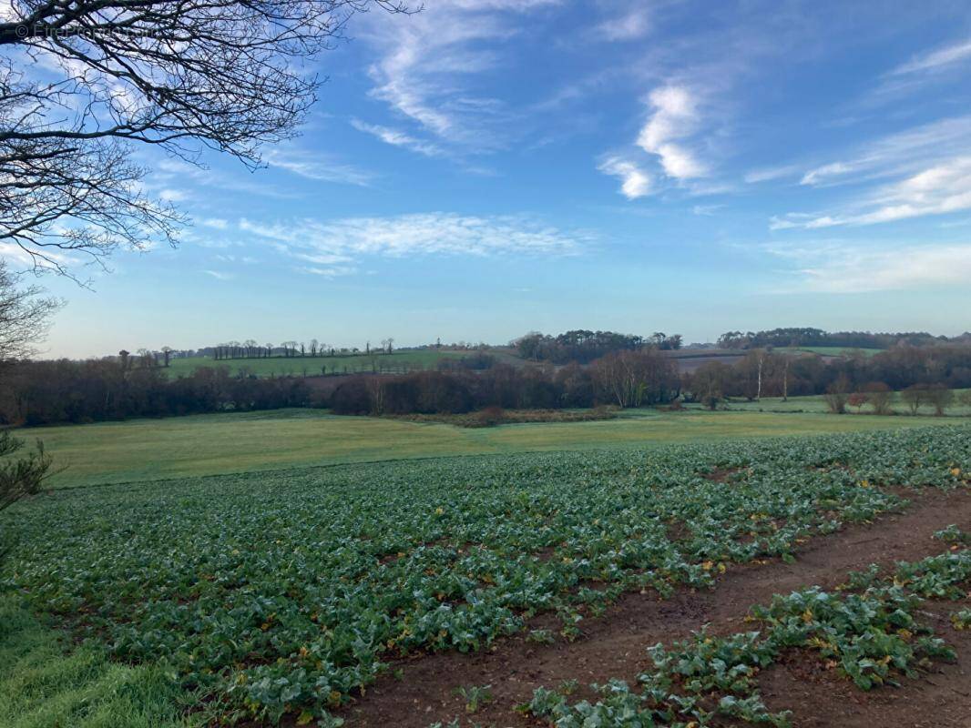 Commerce à PLUVIGNER